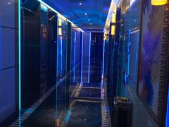 -温莎KTV(珠江路店)