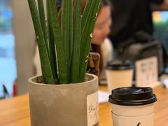 -WIZARD COFFEE咖啡巫师