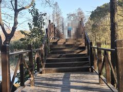 -贡湖湾湿地公园