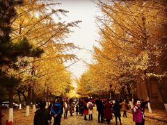 -辽宁大学(崇山校区)