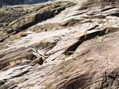 -广州白江湖森林公园