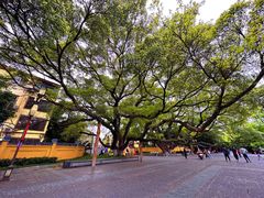 -桂林独秀峰王城景区