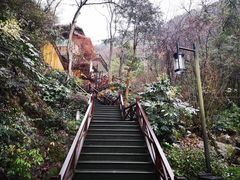 -宁海森林温泉