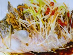 -微山岛春天里酒家