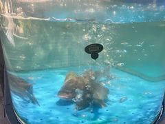 -喜棠·长沙家宴·海鲜·湘菜(麓谷店)