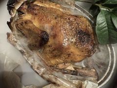 -桂满陇·海市蜃楼·黑金(国金店)