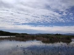 -野鸭湖国家湿地公园