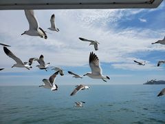 -海驴岛(荣成市)