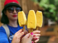 -怀托摩萤火虫洞