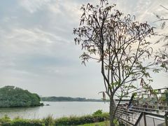 -海珠湖公园