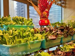 -西安W酒店·观湖露台 美式烧烤