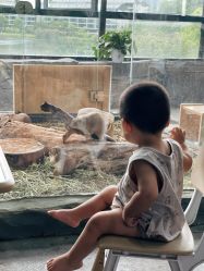 点击看大图 -Zoolung Zoolung动物主题公园(海信广场店)