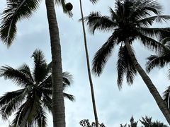 -石梅湾艾美度假酒店