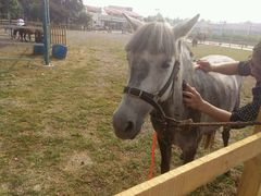 -红栌温泉山庄生态美食餐厅