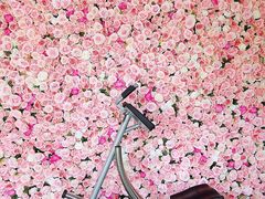 -UltraForce超源健身私教工作室(长楹天街精品店)