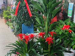 -宝鸡东道花鸟鱼虫市场(吉利花园商场店)