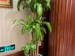 -金时代顺风大酒店(协泰店)