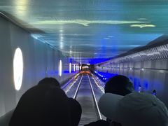 -白鹤梁水下博物馆