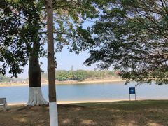 -松山湖南湖湾露营营地