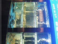 -1718海鲜姿造(苏宁宴请臻选店)