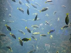 -海合安青岛极地海洋公园
