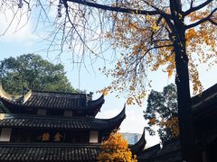 -成都市文殊院