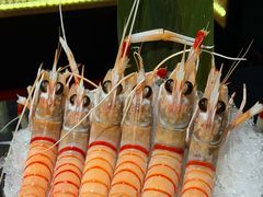 -大葉日本料理·龍蝦任食放題(廣州W酒店)