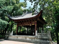 -汇龙潭