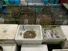 -新享乐海鲜(翠华路店)