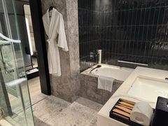 -新加坡乌节希尔顿酒店 (SG Clean)