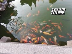 -檀园