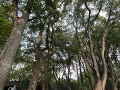 -上海醉白池公园