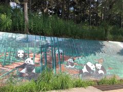 -沈阳森林动物园