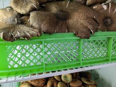 -山菌美食苑(振兴路店)