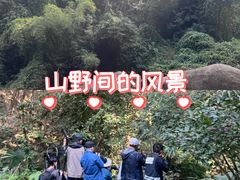 -火炉山森林公园