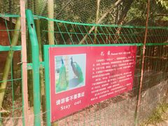 -南山风景名胜区