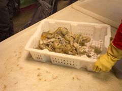 -大连熟食品交易中心