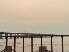 -宝安西湾红树林湿地公园