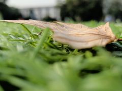 -武汉大学老图书馆