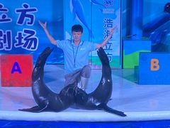 -成都浩海立方海洋公园