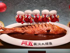 -阿五黄河大鲤鱼(英协路店)