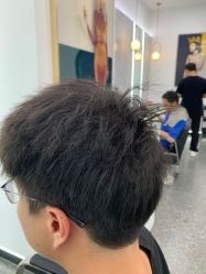 -YESIDO椰岛造型