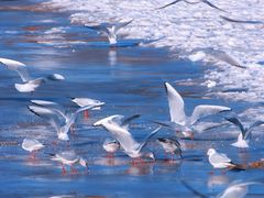 -老虎石海上公园