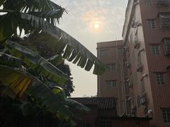 -长洲岛