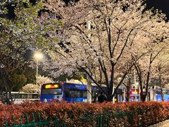 -华中科技大学光谷体育馆