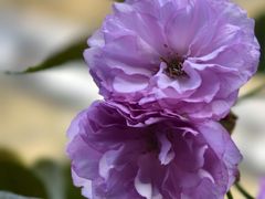 -杭州城北体育公园