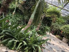 -呀路古热带植物园