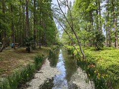 -黄海国家森林公园