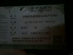 -合肥大剧院