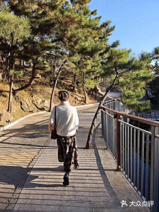 大连森林动物园图片